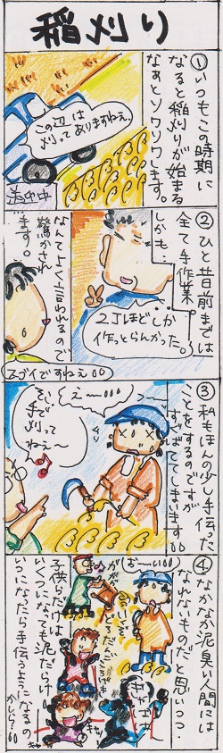 稲刈り